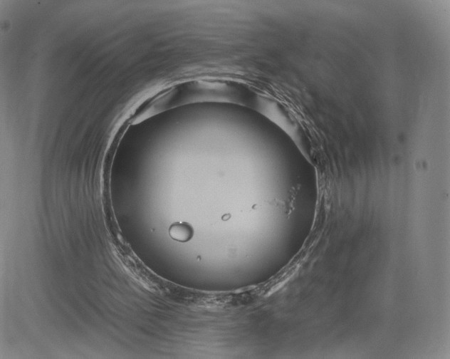 X0000080660148200612301344