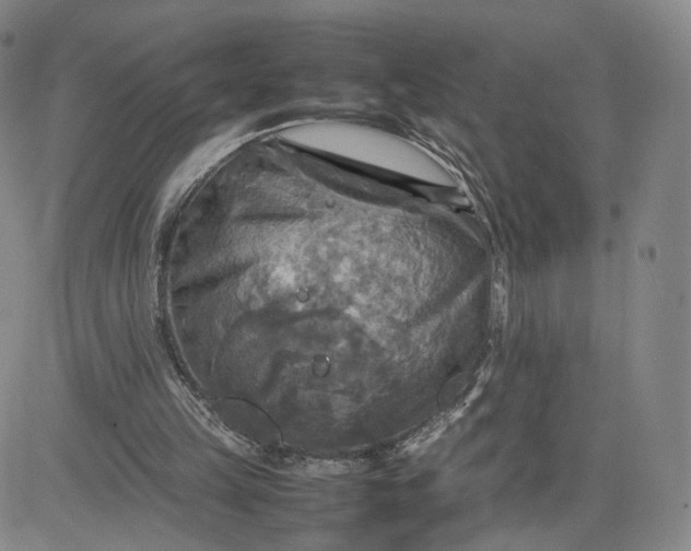 X0000080660149200612301344