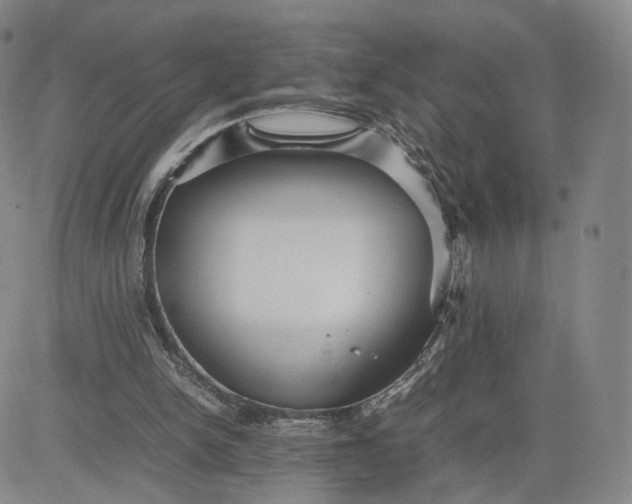 X0000080660150200612301344