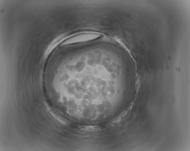 X0000080660151200612301344