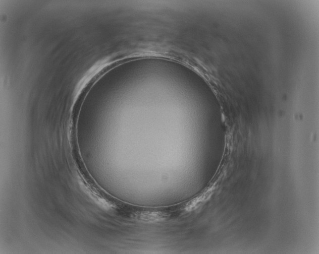 X0000080660152200612301344