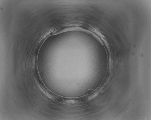 X0000080660153200612301344