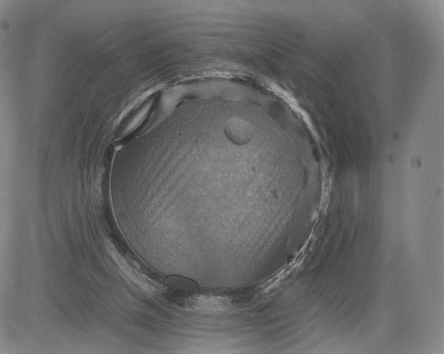 X0000080660154200612301344