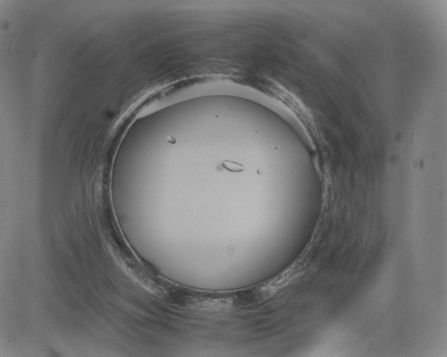 X0000080660155200612301344