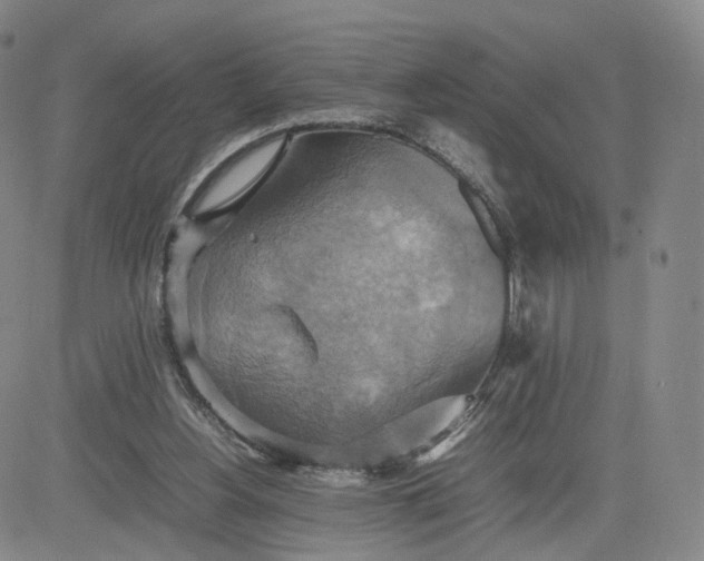 X0000080660156200612301344