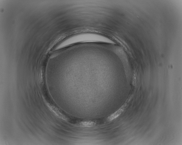 X0000080660158200612301344