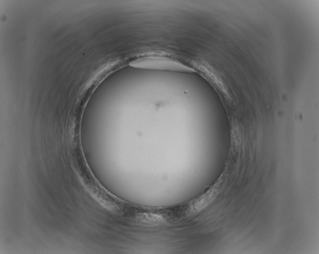 X0000080660159200612301344