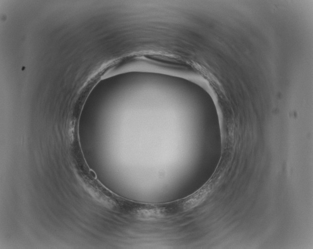 X0000080660160200612301344