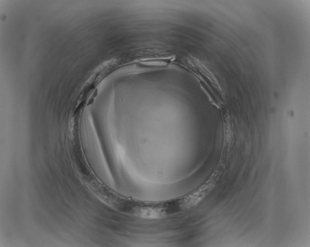 X0000080660163200612301344