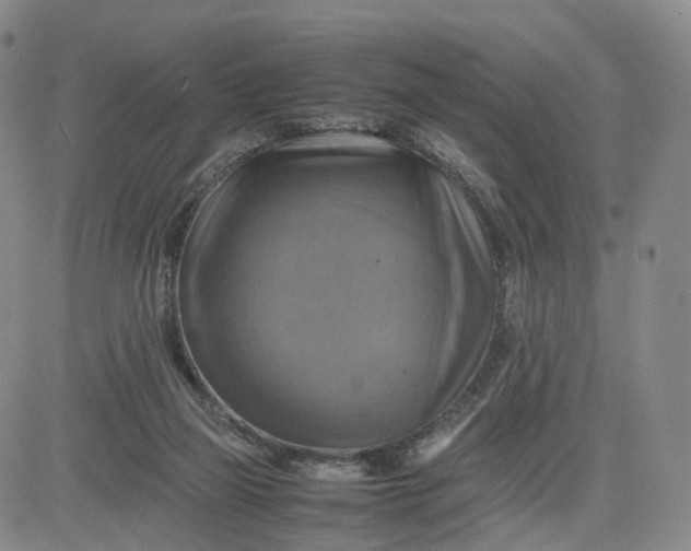 X0000080660165200612301344