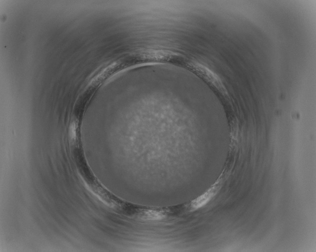 X0000080660166200612301344