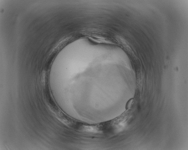 X0000080660167200612301344