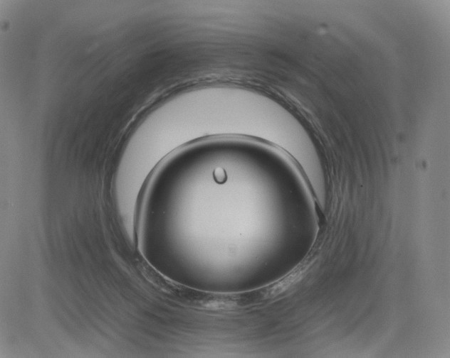 X0000080660168200612301344