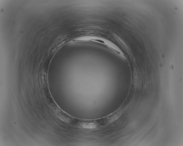 X0000080660169200612301344