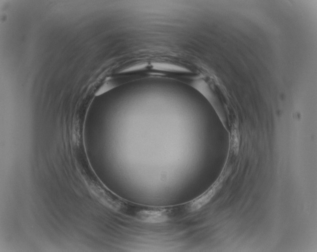 X0000080660170200612301344