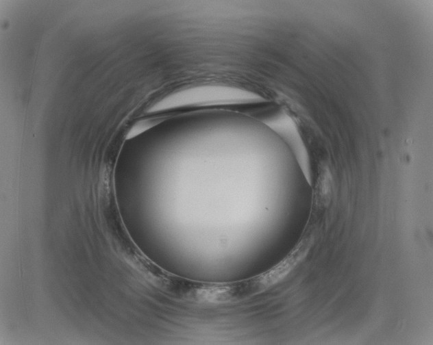 X0000080660172200612301344