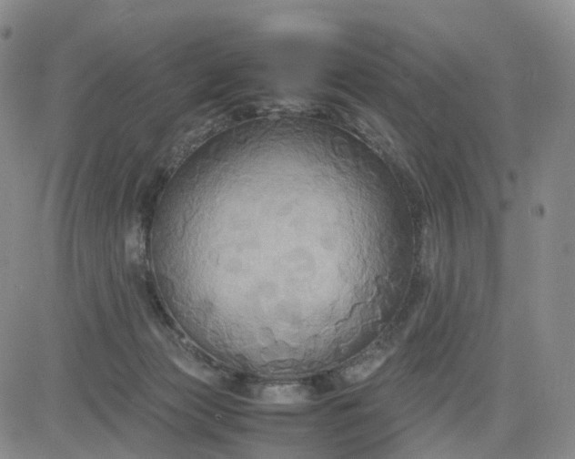 X0000080660173200612301344