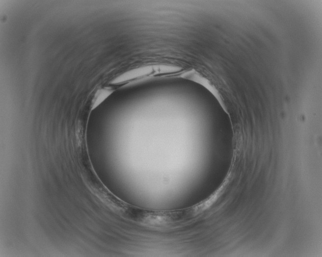 X0000080660174200612301344