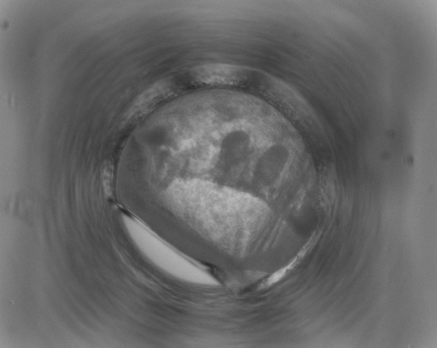 X0000080660175200612301344