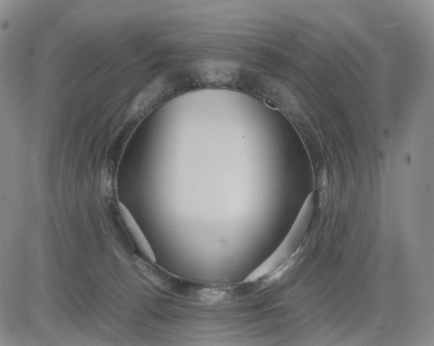 X0000080660176200612301344