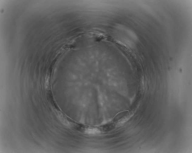 X0000080660177200612301344