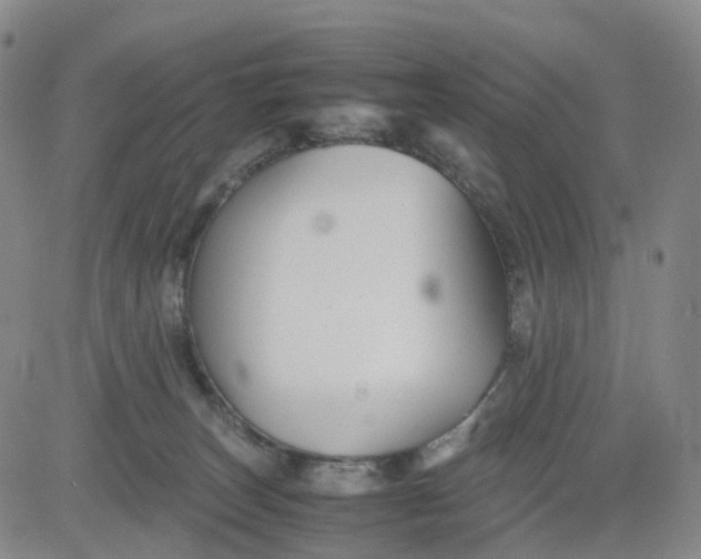 X0000080660179200612301344