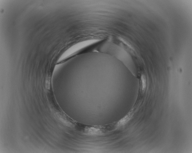 X0000080660180200612301344