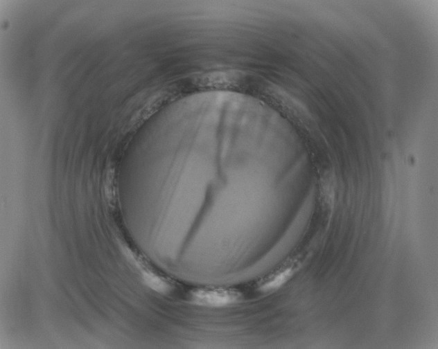 X0000080660181200612301344