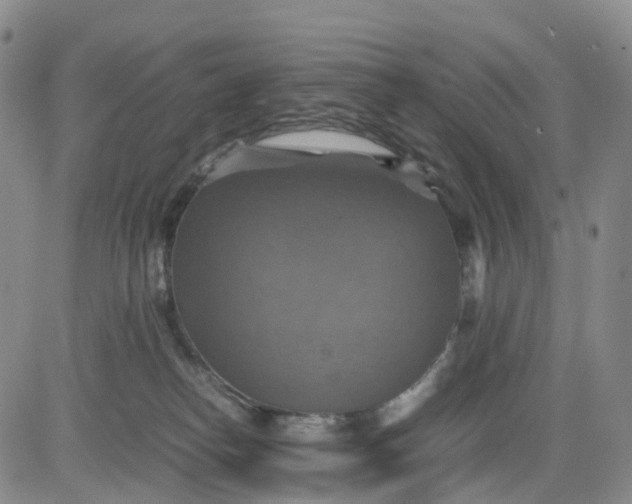 X0000080660182200612301344