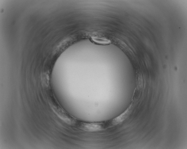 X0000080660183200612301344