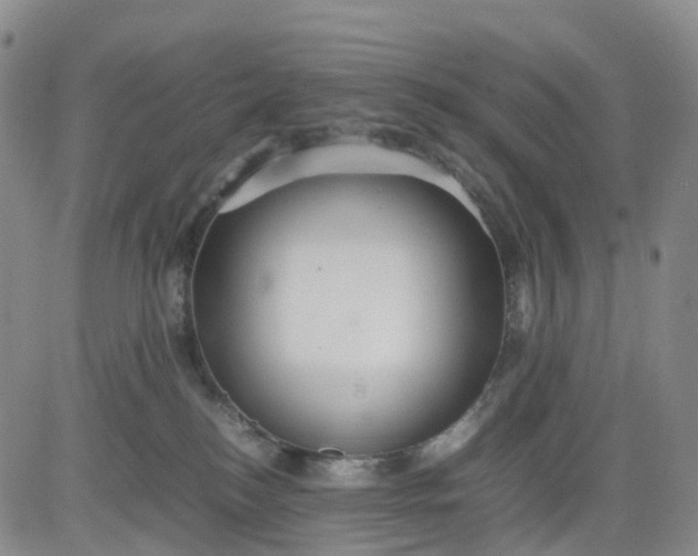 X0000080660184200612301344