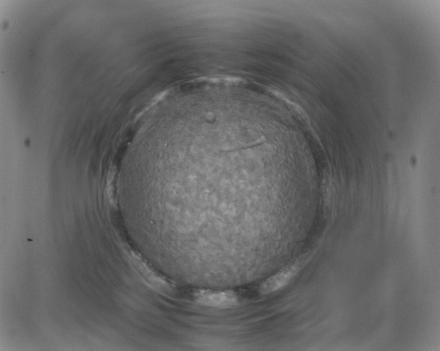 X0000080660185200612301344