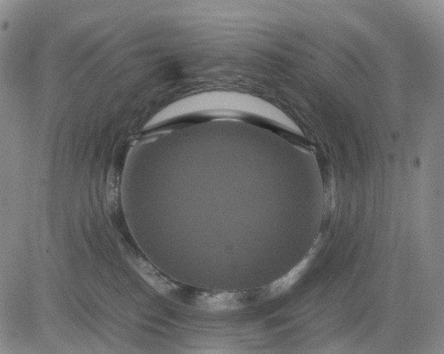 X0000080660186200612301344