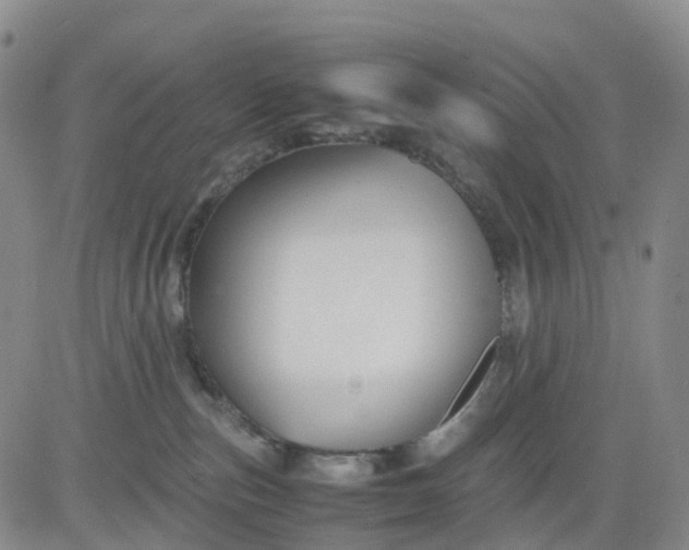 X0000080660187200612301344