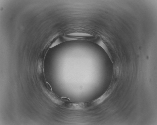 X0000080660188200612301344