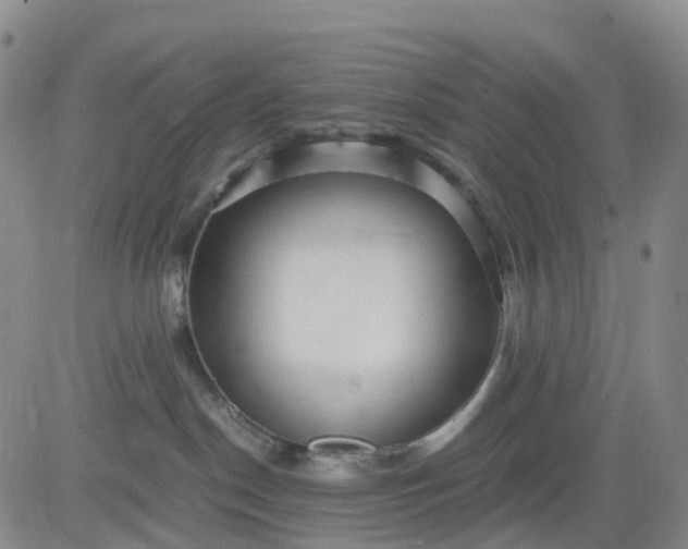 X0000080660190200612301344