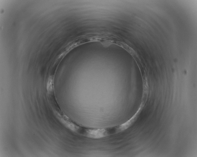 X0000080660191200612301344