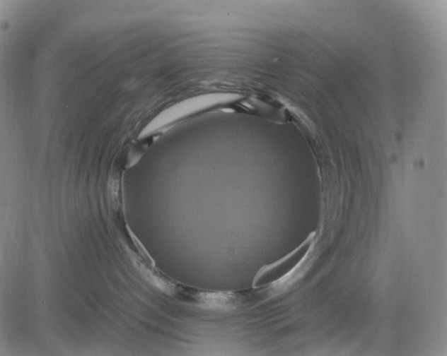 X0000080660192200612301344