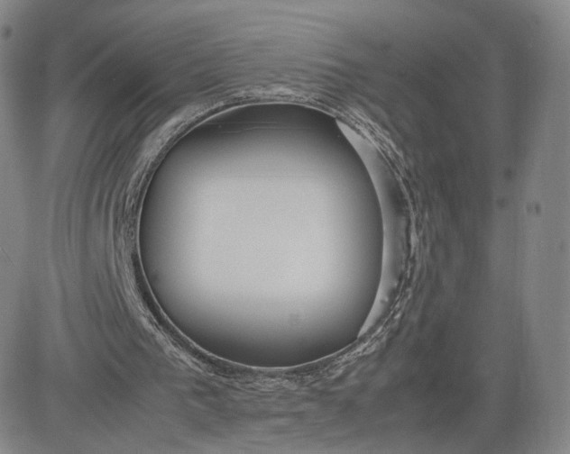 X0000080660193200612301344