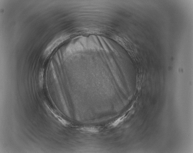 X0000080660194200612301344