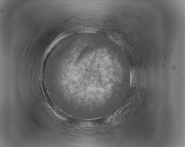 X0000080660195200612301344