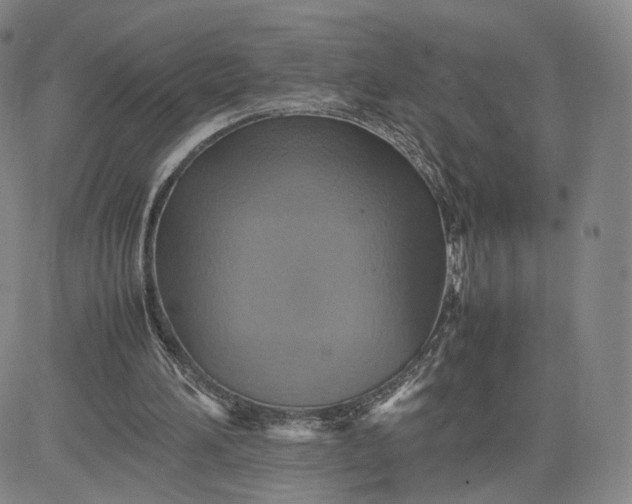 X0000080660196200612301344