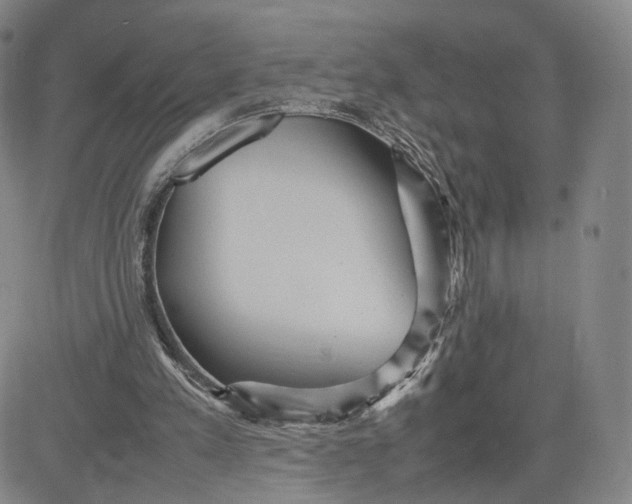 X0000080660197200612301344