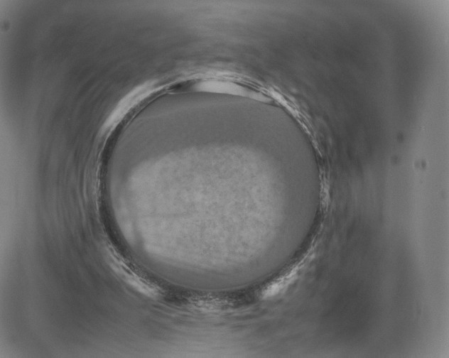 X0000080660199200612301343