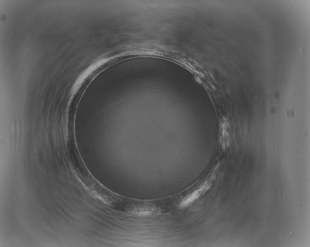 X0000080660200200612301343