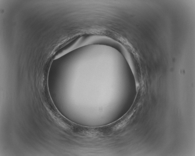 X0000080660201200612301343