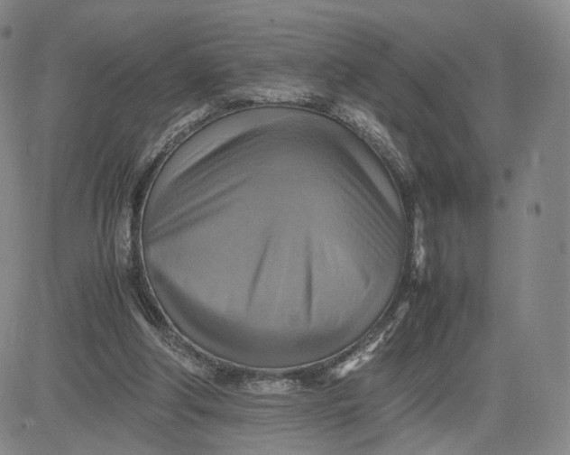 X0000080660202200612301343