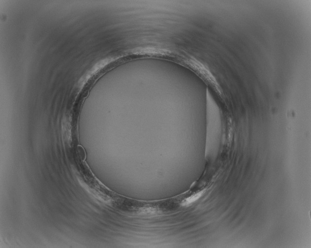 X0000080660204200612301343