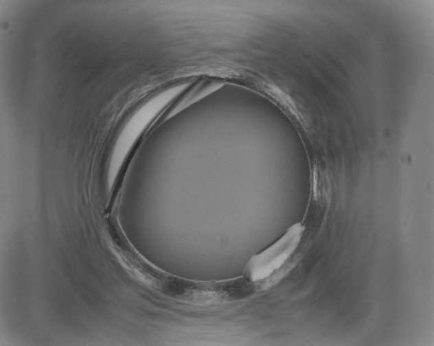 X0000080660205200612301343