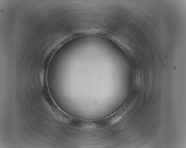 X0000080660206200612301343